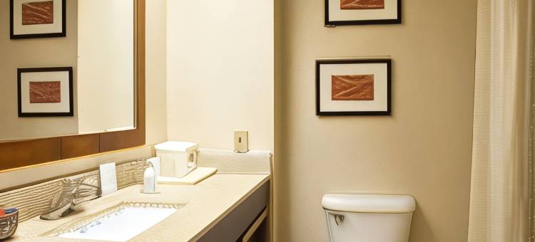 I-40东凯艺套房酒店(Quality Inn & Suites I-40 East)图片