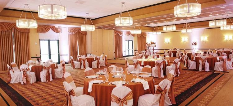 哥伦布机场希尔顿安泊酒店(Embassy Suites by Hilton Columbus Airport)图片