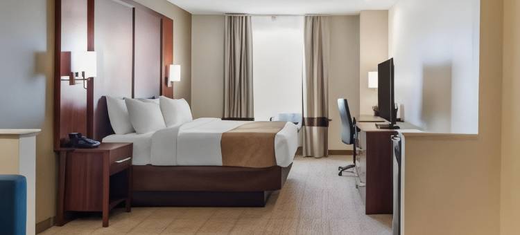 舒适套房酒店(Comfort Inn & Suites)图片