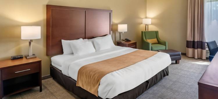 林肯I-20舒适套房酒店(Comfort Inn & Suites Lincoln I-20)图片