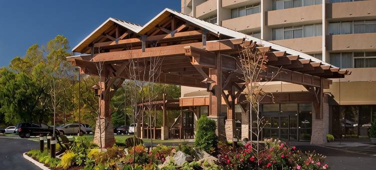 加特林堡远景公园逸林酒店(The Park Vista - a DoubleTree by Hilton Hotel - Gatlinburg)图片
