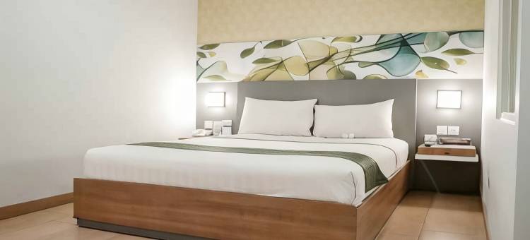 北干巴鲁埃沃酒店(Evo Hotel Pekanbaru)图片