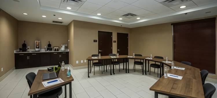 舒适套房酒店-休斯顿西克莱路(Comfort Suites Houston West at Clay Road)图片