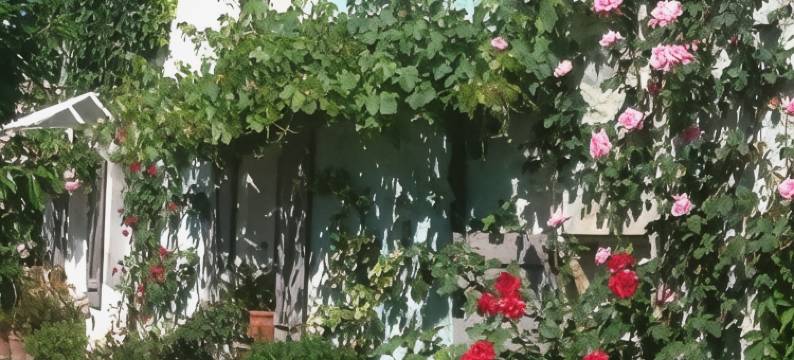 La Maison des Chevaux图片