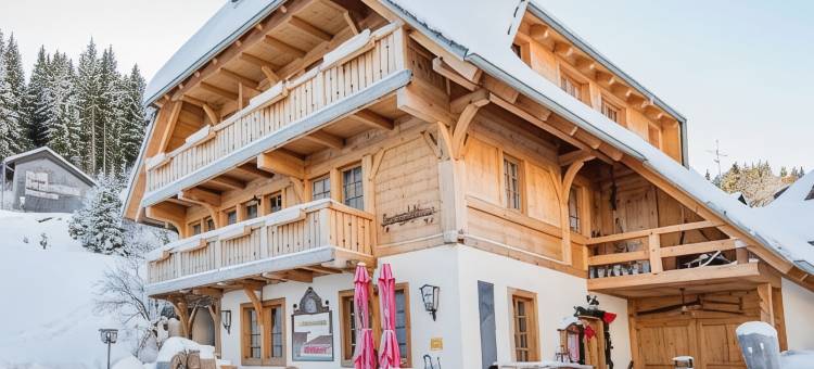 荷恩加斯特霍夫格鲁纳鲍姆酒店(Hotel & Restaurant Grüner Baum - Die Grüne Oase am Feldberg)图片