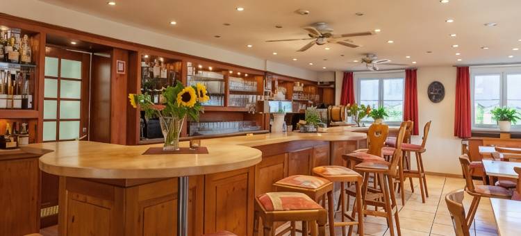 科鲁兹博登湖酒店(Bodensee-Hotel Kreuz)图片