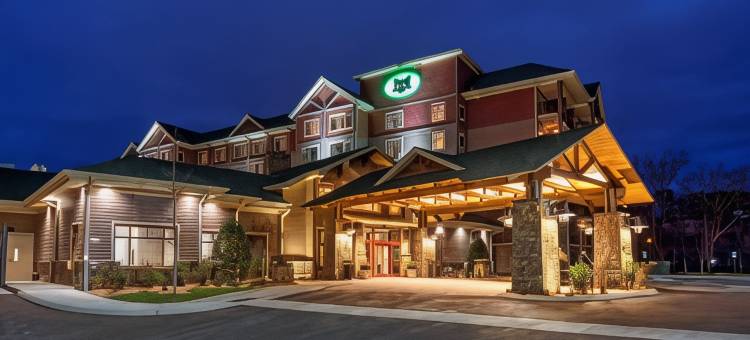 鸽子谷黑狐酒店，希尔顿启缤精选(Black Fox Lodge Pigeon Forge, Tapestry Collection by Hilton)图片