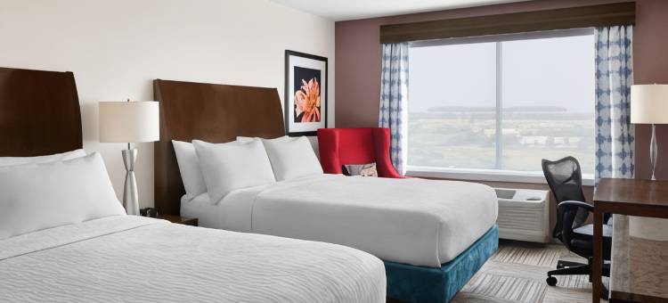 丹佛南公园梅多斯区希尔顿花园酒店(Hilton Garden Inn Denver South Park Meadows Area)图片