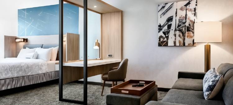 SpringHill套房马里奥特纽约曼哈顿/切尔西(SpringHill Suites New York Manhattan/Chelsea)图片