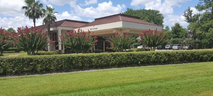 杰克逊维尔机场温德姆戴斯酒店(Days Inn by Wyndham Jacksonville Airport)图片