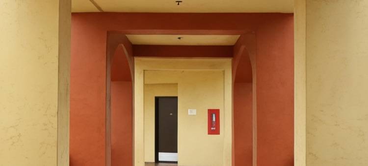 旧金山机场北舒适套房酒店(Comfort Inn & Suites San Francisco Airport North)图片