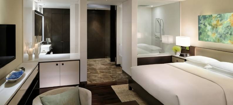 海得拉巴柏悦酒店(Park Hyatt Hotel and Residences, Hyderabad)图片