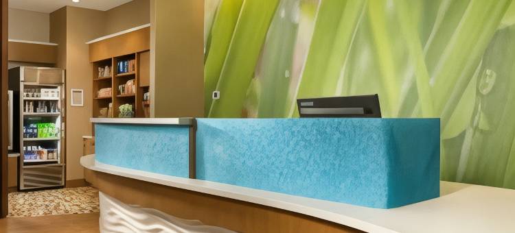 桥港市克拉克斯堡SpringHill Suites 酒店(SpringHill Suites Bridgeport Clarksburg)图片