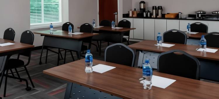 达拉斯阿林顿娱乐区福朋喜来登酒店(Four Points by Sheraton Dallas Arlington Entertainment District)图片