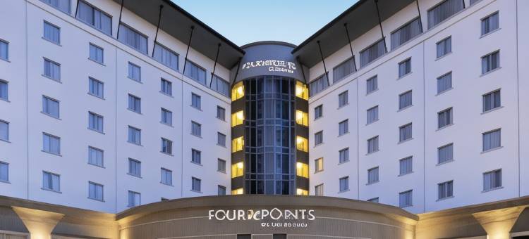 拉各斯福朋喜来登酒店(Four Points by Sheraton Lagos)图片