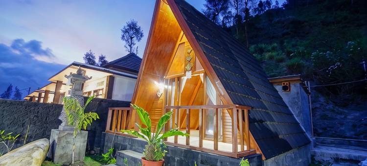巴厘岛林牙别墅(LINGGA BALI)图片