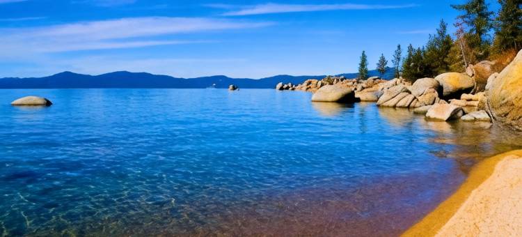 索内斯塔爱莫利维尔-旧金山海湾大桥(Sonesta Emeryville San Francisco Bay Bridge)图片