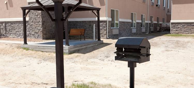 佩科斯舒适套房酒店(Comfort Suites)图片