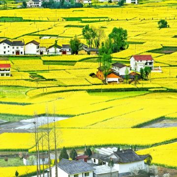 中国陕西汉中+洋县+安康4日3晚跟团游