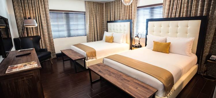 迈阿密海滩Croydon酒店(Hotel Croydon Miami Beach)图片