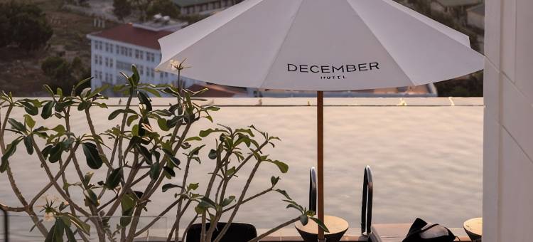 十二月酒店(December Hotel)图片