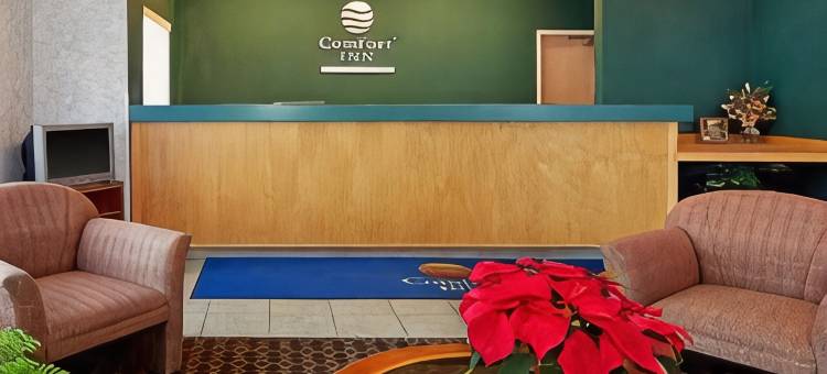 艾尔克舒适酒店(Comfort Inn Elko)图片