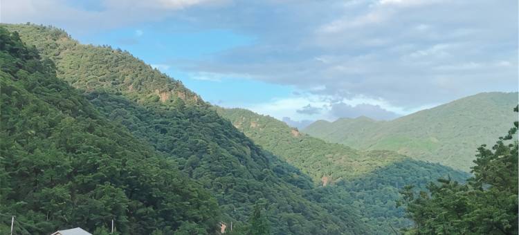 杭州半山隐民宿图片