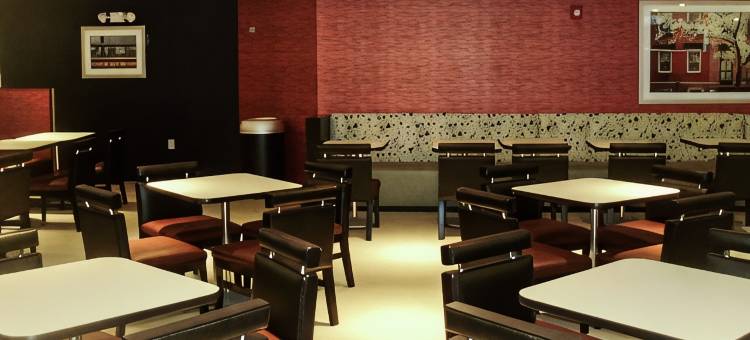 舒适套房酒店-近体育场(Comfort Inn & Suites Near Stadium)图片