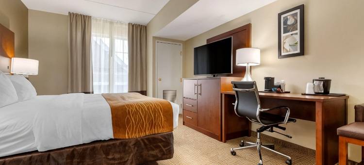 舒适套房酒店(Comfort Inn & Suites)图片