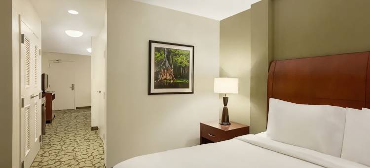 西门罗希尔顿花园酒店(Hilton Garden Inn West Monroe)图片