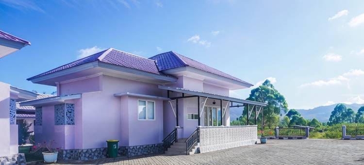 Sapadia Villa Bukit Gibeon图片