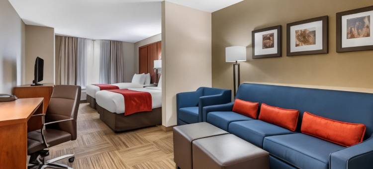 舒适套房酒店-乌尔班纳香槟大学城(Comfort Suites Urbana Champaign, University Area)图片