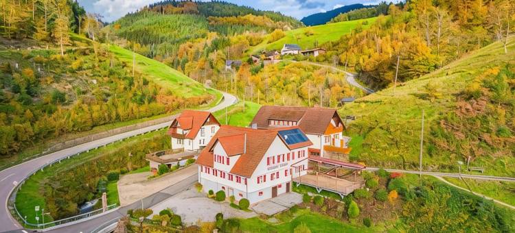 布鲁姆旅馆(Hotel - Gasthof Blume)图片