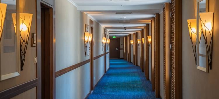 千禧湖景酒店(Millennium Lakeview Hotel)图片