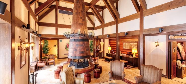 鹿儿岛日光酒店(Hotel Sunflex Kagoshima)图片