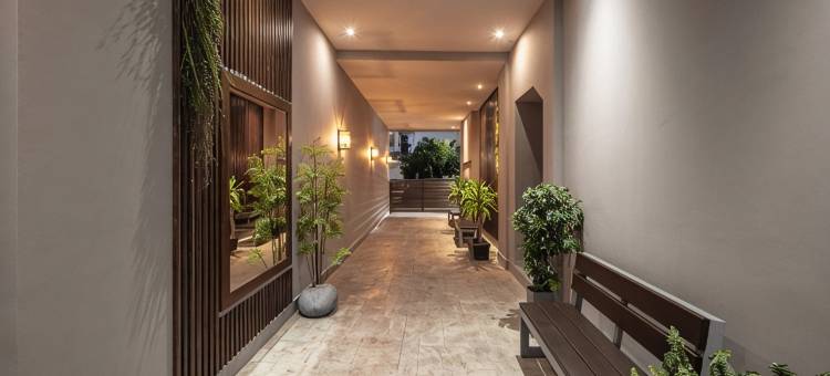 维斯酒店(Vice Hotel)图片