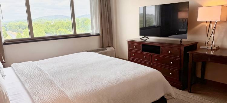 Holiday Inn 伯明翰机场(Holiday Inn BIRMINGHAM-AIRPORT by IHG)图片