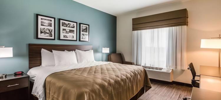 舒眠套房酒店(Sleep Inn & Suites - Bryan)图片