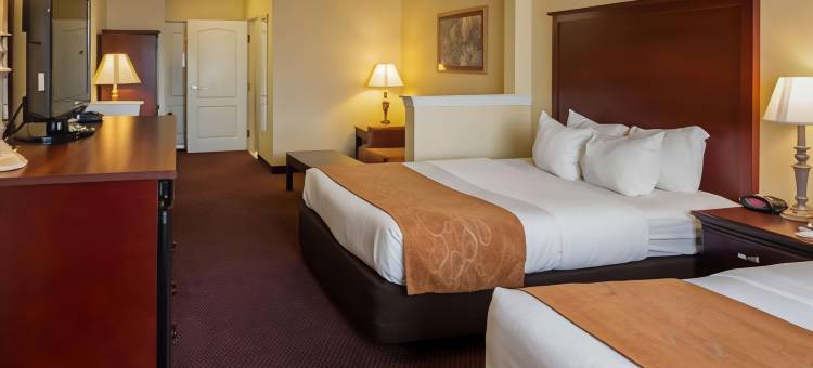 德克萨斯特克萨卡纳舒适套房酒店(Comfort Suites Texarkana Texas)图片