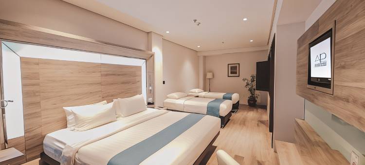 巴淡岛心悦酒店(AP Premier Batam)图片