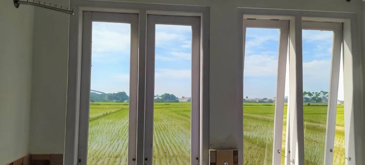 红色伙伴钻石巴塘宾馆(Guesthouse Berlian Batang Syariah Near Kampung Kalisalak Park)图片