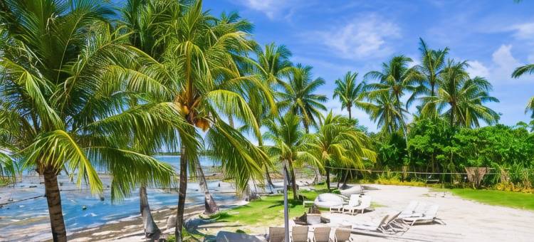 阿帕萨斯部落-锡亚高岛酒店(Apsaras Tribe - Siargao)图片