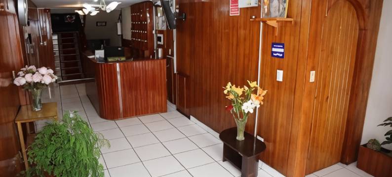 AQP赛德拉尔酒店(Hotel Sideral AQP - Cochera)图片