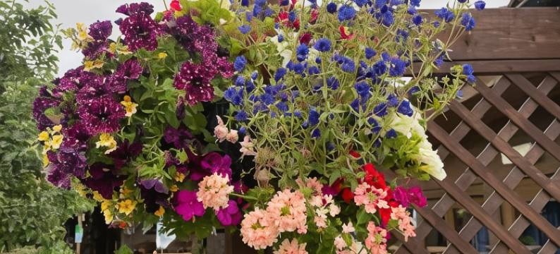 十字钥匙旅馆(Cross Keys Inn)图片