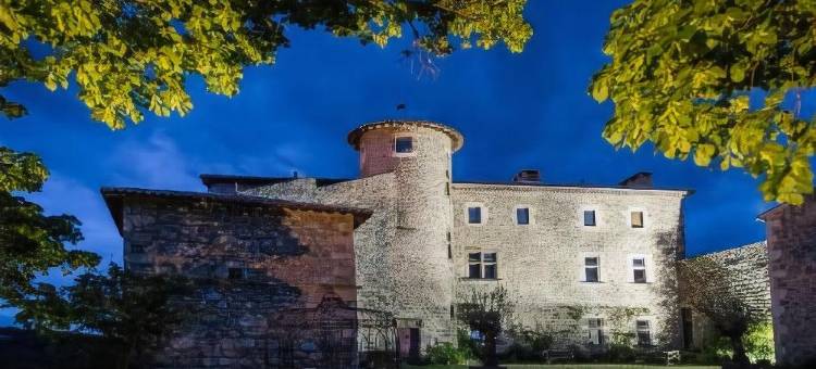 贝塞特城堡酒店(Chateau du Besset)图片