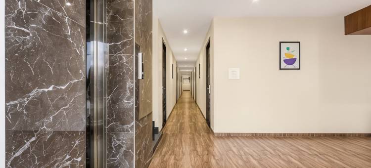 Treebo 伊拉(Treebo Iraa)图片