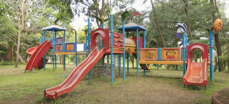 松林度假村(Pinewood Resort)图片