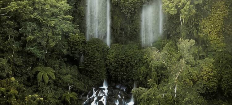 Billi家庭(Billi Family)图片