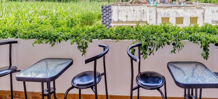 奥阿拉旅馆(Hotel O Ara Guest House)图片