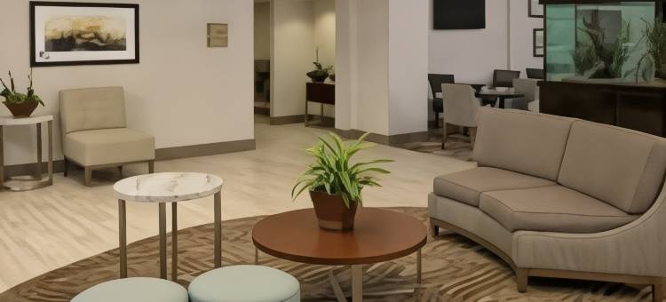 奥兰多-梅特兰Homewood Suites by Hilton(Homewood Suites by Hilton Orlando - Maitland)图片